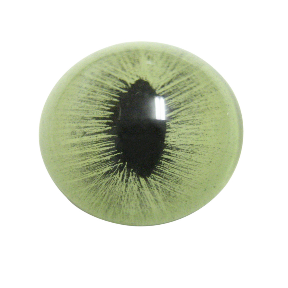 Green Cat Eye Design Magnet